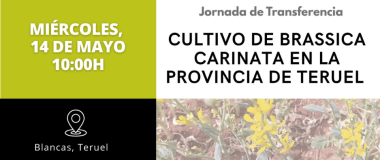 cartel del evento 