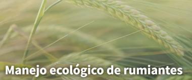 MANEJO ECOLÓGICO DE RUMIANTES
