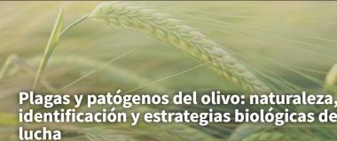 plagas y patógenos