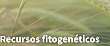 recursos genéticos