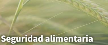 seguridad alimentaria