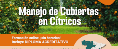 zitrikoen estalkiak maneiatzea