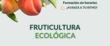 fruta-hazkuntza ekologikoa