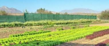 curso de produción integrada