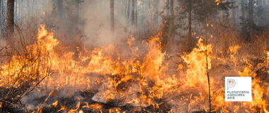 out-of-control forest fire