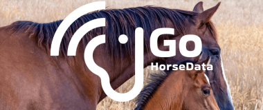 Logo GO Horsedata