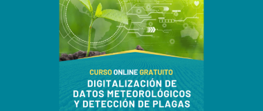 cartel del curso