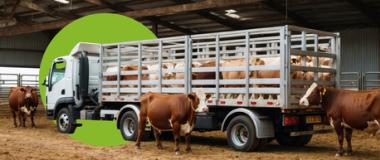 BIEN-ÊTRE ANIMAL DANS LES TRANSPORTS