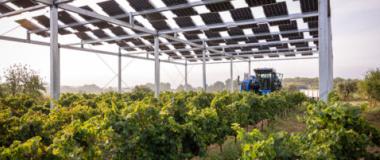 viñedo con placas solares