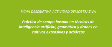 affiche de l'événement