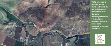 Fuente: GO Olive Carbon Balance (OCB)