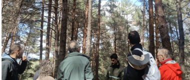 FOTO DE LA VISITA AL BOSQUE EXPERIMENTAL DE GO PLANFORLAB