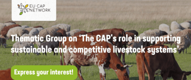 affiche de l'appel à candidatures