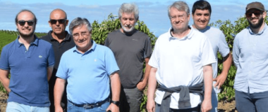 EQUIPO DE INVESTIGACIÓN