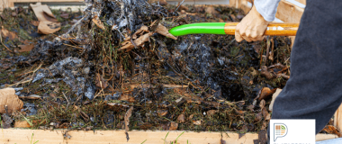 composting illustration