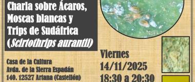 conversa sobre cítricos