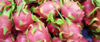 pitahaya