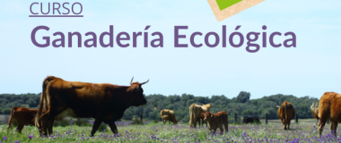 ganadería ecológica