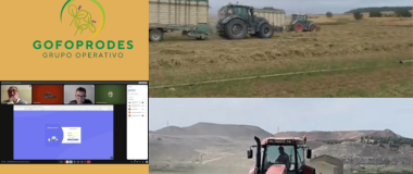 Imaxes do proxecto Go Foprodes