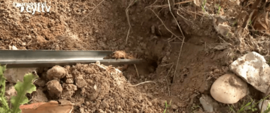 fotograma del reportaje