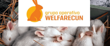 logotipo de go welfarecun
