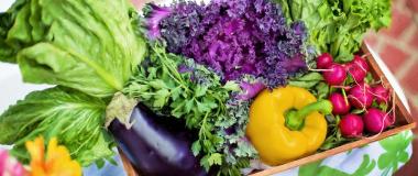 manipulació d'aliments