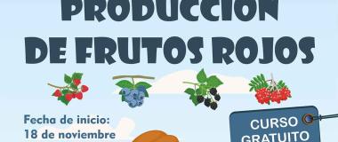 frutos rojos