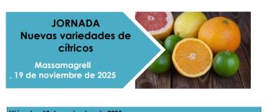 variedades de cítricos