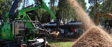 IMAGEN DE PASADAS EDICIONES