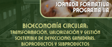 cartel del curso