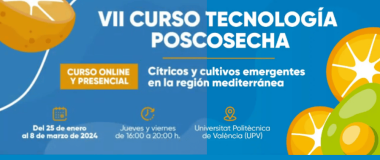 cartel del curso