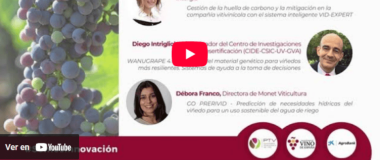 MINIATURA DEL VÍDEO