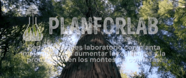 LOGOTIPO DE GO PLANFORLAB