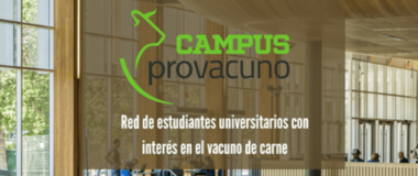 logo campus provacuno