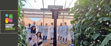 ILUSTRACIÓN DE LA INICIATIVA