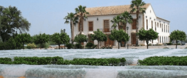 CULTIU AMB PLÀSTICS