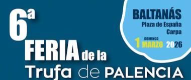 feira da trufa
