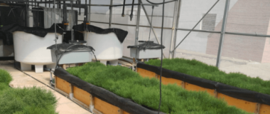 instalación de acuicultura