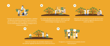 infografía del proyecto