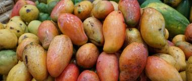 mangos