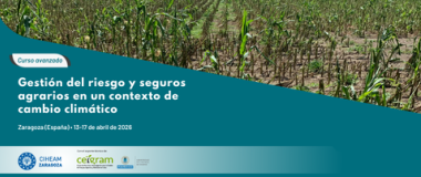 Gestión de riesgos y seguros agrarios en un contexto de cambio climático