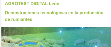 Cartel Jornada CAJAMAR