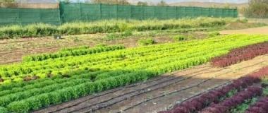 agricultural and ecological course