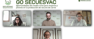 Un momento del webinar