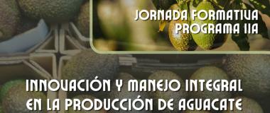 AGUACATE