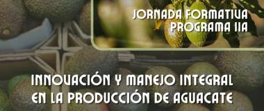 AGUACATE