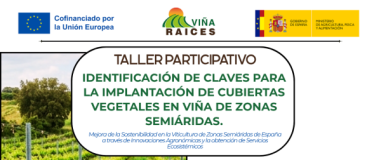 Cartel Taller parcitipativo