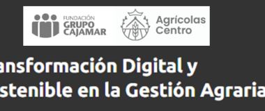 Curso de Transformación Dixital Sostible