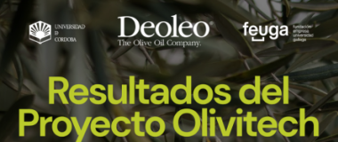 imagen taller resultados olivitech