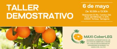 GO maxi cober-leg demonstration workshop